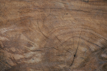 wood texture