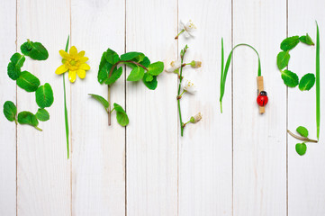 Funny spring background