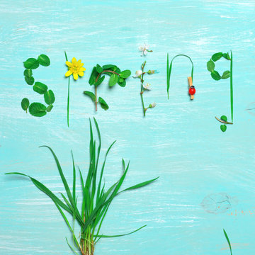 Funny spring background
