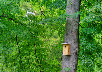 birdhouse in the garde
