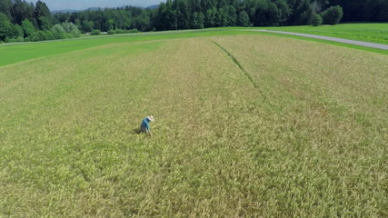 Air view on farmer who is walking on wheat field