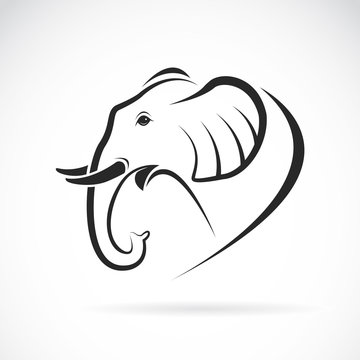 Vector image of an elephant design on a white background