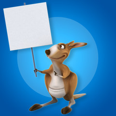 Fun kangaroo © Julien Tromeur