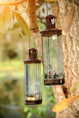 Vintage old glass lamps on the tree.