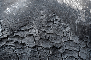 Fototapeta premium Surface of wood charcoal