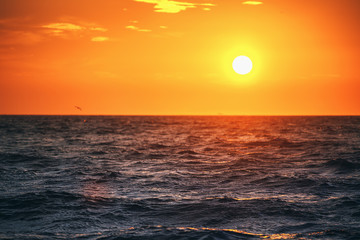 Sea wave close up, low angle view