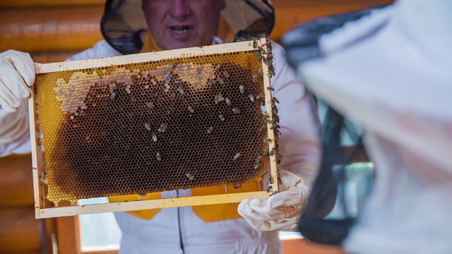Elderly bee-keeper showing the penal from the behive 