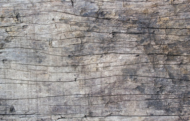 old  wood background