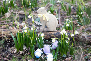 Osterhase im Wald mit Schneeglöckchen und Ostereier
