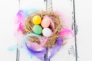 Obraz premium pastellfärgade ägg i fågelbo mot vintage bakgrund och fjädrar
