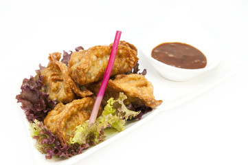 Japanese dumplings with lettuce on white background