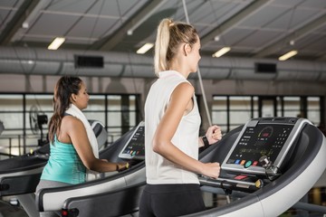 Fototapeta na wymiar Women exercising on treadmills