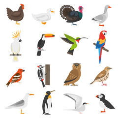 Bird Flat Color Icons Set