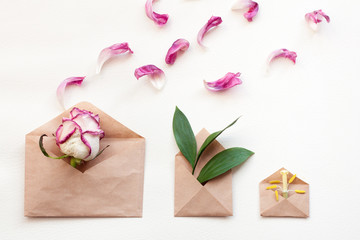 Three envelopes with plants