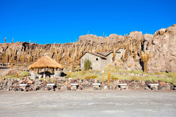 Cactus Island, Uyuni