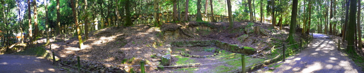 Panoramic view of walkway with stone lanterns Kasuga Taisha Shrine Nara, Japan - Photo taken on November 4th, 2015