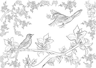 Hand drawn ink pattern. Coloring book Coloring for adult