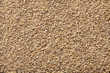 Ajwain Seed