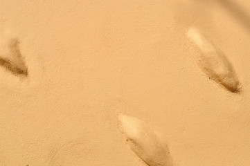 Brown cement wall for texture background