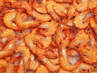 red shrimps on a stand in a spanish market