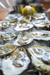 Tray of Oysters with Lemon in Background