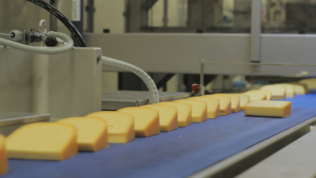 Cheese moves on assembly line, closeup