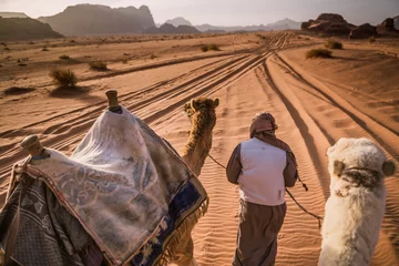 Zelfklevend Fotobehang Kameel Kamelen in Jordaanse woestijn