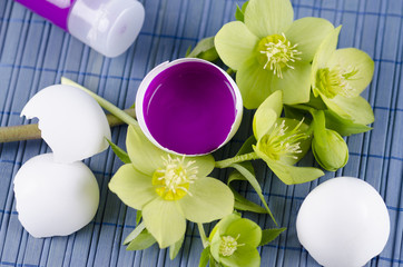 Beautiful Easter decoration with egg shells with paints and spring flowers