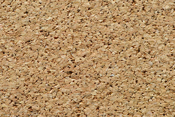 Balsa wood texture. Macro view