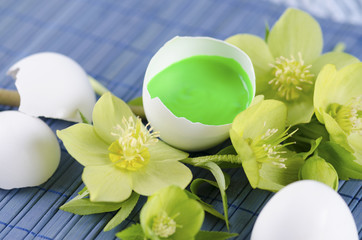 Beautiful Easter decoration with egg shells with paints and spring flowers