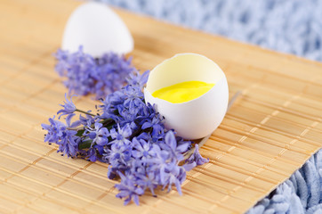 Easter decoration with spring flowers and egg shell