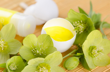 Happy  Easter decoration with spring flowers and egg shell on a yellow pad
