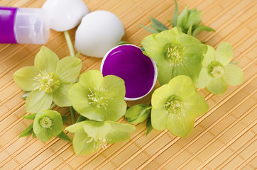 Yellow pad and Easter decoration with egg shells and hellebore plus tempera paint