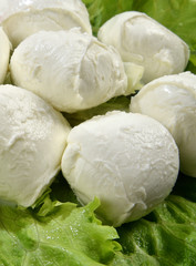 Mozzarella di bufala © barbamauro