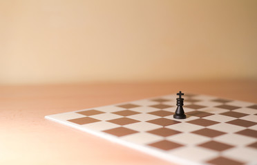 Chess pieces as metaphor - one king in the whole area of chessboard as lonely person or...