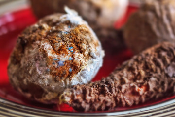 Old moldy vegetables