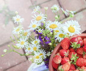 Fototapeta na wymiar Chamomile and strawberries
