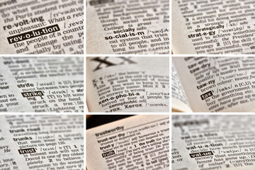 Obraz premium Politics Words Set