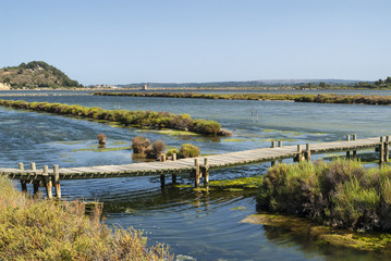 Peyriac-de-Mer (Languedoc-Roussillon, France): pond
