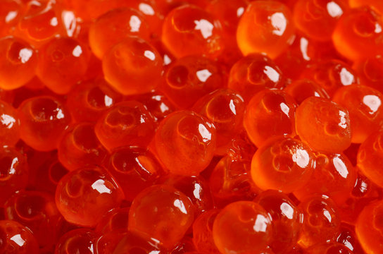 red caviar on the full background