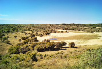 Fototapeta na wymiar Savannah with water hole and buffaloes. Panoramic landscape with view to the sea. 