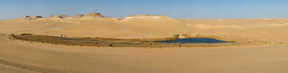 Fototapeta na wymiar Oasis in Sahara desert in Egypt