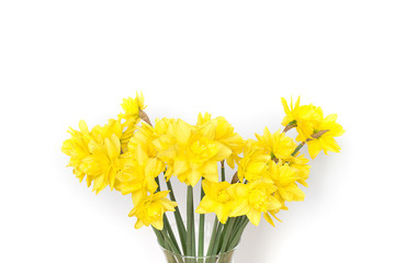 yellow daffodils