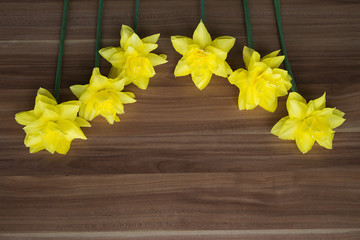Yellow narcissus on a wooden background