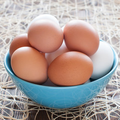 Chicken eggs in blue bowl, close-up
