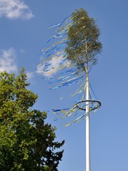 Maibaum