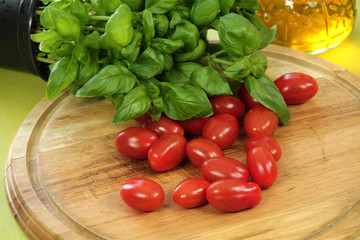 tomates cerises et basilic 11032016