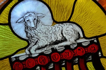 Baranek Boży © Pio Si