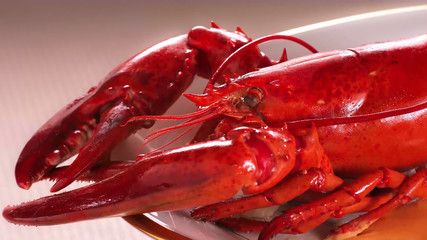 Detail of a lobster served on an oval plate.