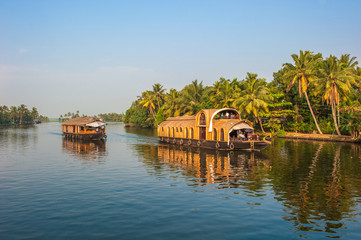 Backwaters of Kerala, India - obrazy, fototapety, plakaty
